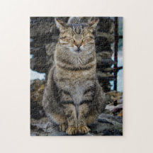 Photo Puzzle - Cat in Cinque Terre, Italy