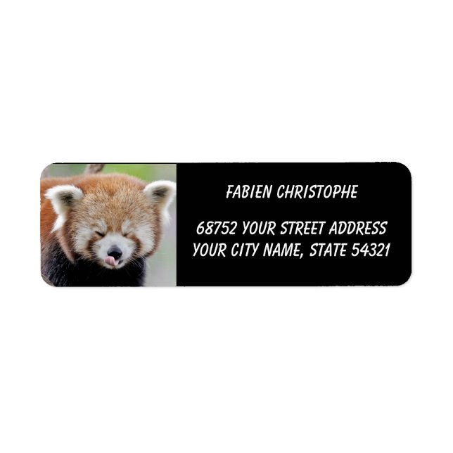 Photo red panda , animals 0532. (Front)
