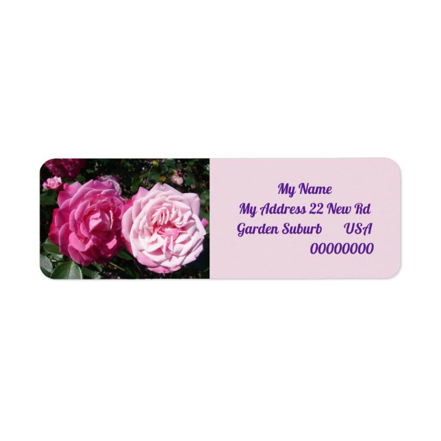 Photo rose vintage Retourner l'adresse Étiquettes (Devant)
