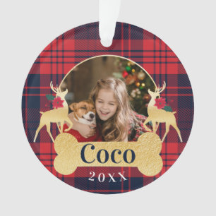 Photo rouge personnalisée d'animal familier de