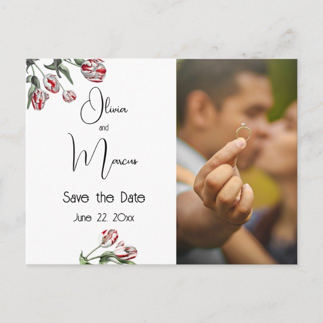 Photo Save the Date Red and White Tulips Postcard (Front)
