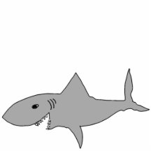 Requin !