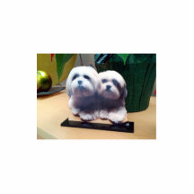 Sculpture acrylique faite sur commande de haute