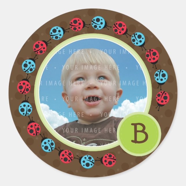 PHOTO SEAL :: ladybird circle 1 (Front)