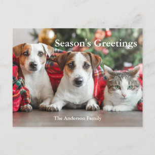 Photo Season's Greetings Holiday Postcard