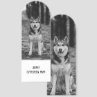 Photo simple moderne pour animaux de compagnie ou 