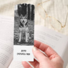 Photo simple moderne pour animaux de compagnie ou