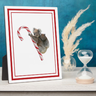 Photo Sucre de canne Australian Koala Bears Plaque