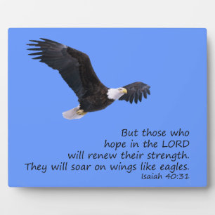 Photo Sur les ailes comme la Plaque des Aigles