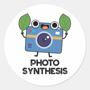 Photo Syntesis Cute Camera Pun Classic Round Sticker