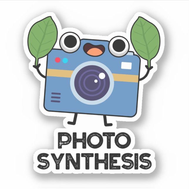 Photo Syntesis Cute Camera Pun Sticker (Front)