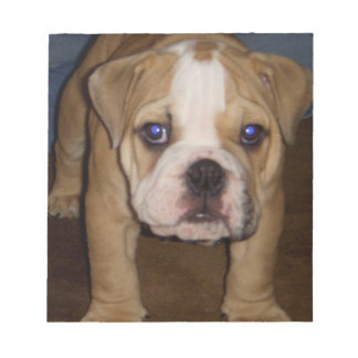 Photo Te, mplate Notepad