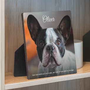 Photo Texte pour plaque commémorative de chien perdu ave