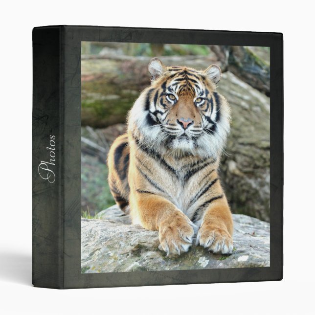 Photo tiger , animals 0046. binder (Front/Spine)