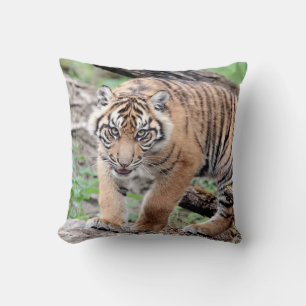 Photo tiger , cat , animals . throw pillow