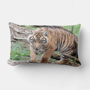 Photo tiger cat , animals . throw pillow