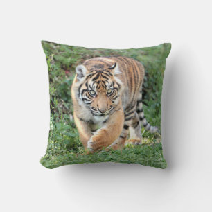 Photo tiger, chat, animaux. Coussin décoratif