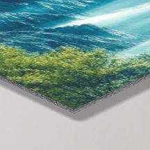 Misty Morning dans les montagnes