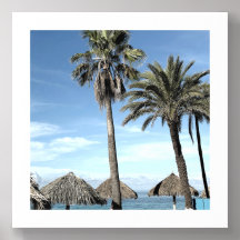 Palmiers d'Aruba et palapas de plage