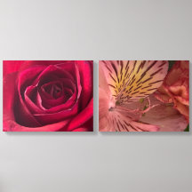Photographie de Fleurs Microscopiques – Flore déta