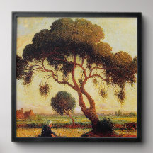 Arbre d'ombre
