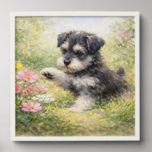 Chiots Schnauzer Fleurs de printemps