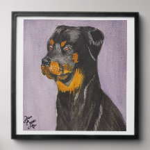 Image Rottweiler