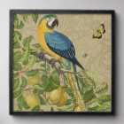 Macaw Blue Jaune Tropical Jungle Antique