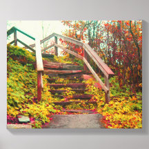 Escalier de Waterrock Knob sur Blue Ridge Parkway