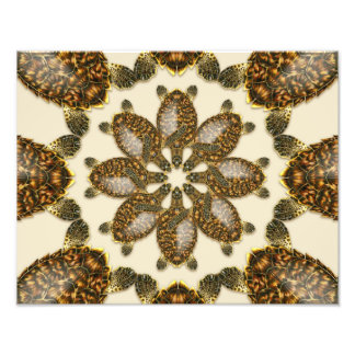 Photo Tortue imbriquée kaléidoscopique Impression 14" x