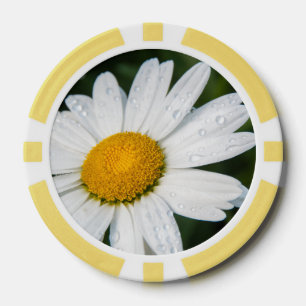 Photo une margueritte, goutte d'eau, font vert poker chips