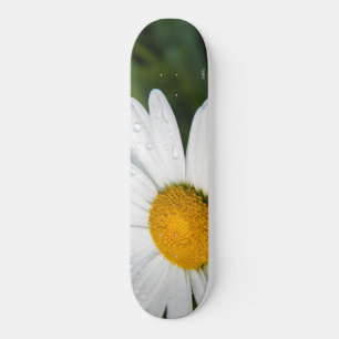 photo une margueritte, goutte d'eau, font vert skateboard