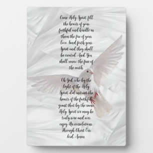 Photo Venez le Saint Esprit Inspiration Plaque