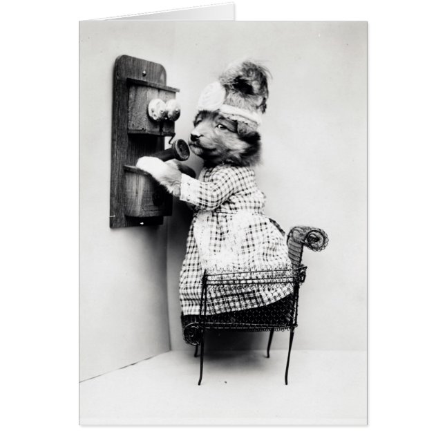 Photo vintage - chien au téléphone, (Devant)