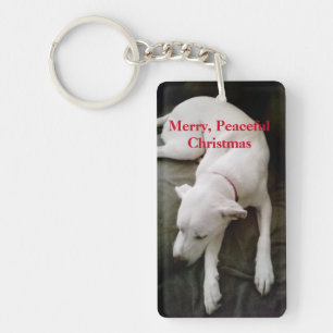 Photo White Puppy Chien faisant une sieste tranqui