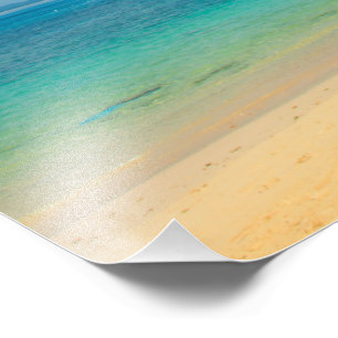 Photo Zazzle été profiter de la toile impression