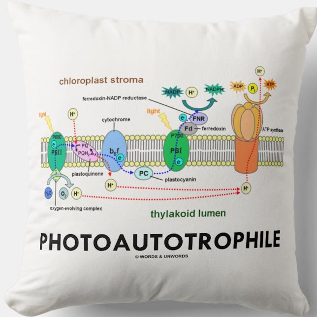 Photoautotrophile Photosynthesis Throw Pillow (Throw pillow for any food producer)