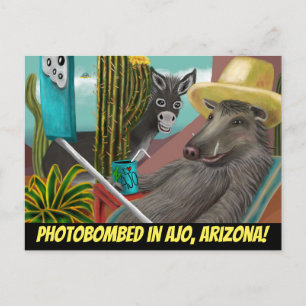 Photobombé à Ajo Arizona, Carte postale d'Arizona