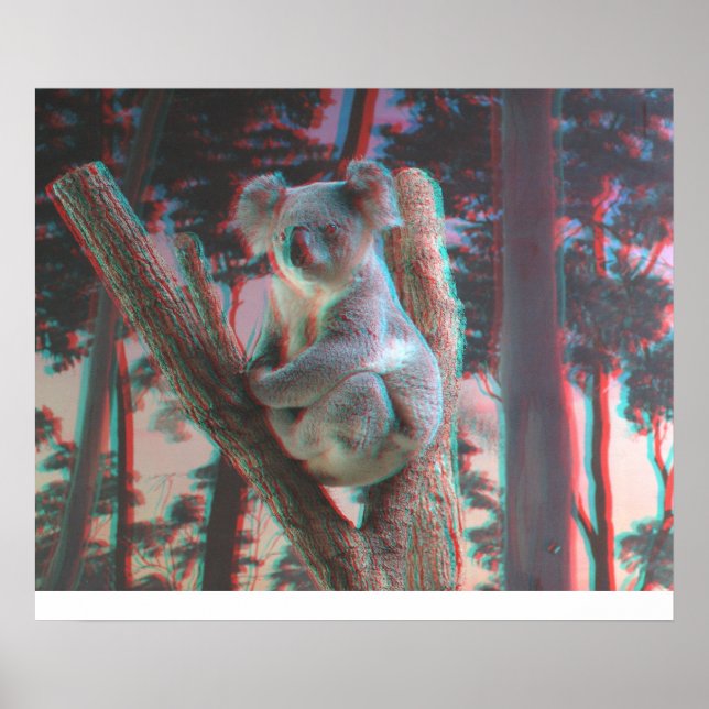 Photogenic Koala Poses For the Camera in 3D Poster (Front)
