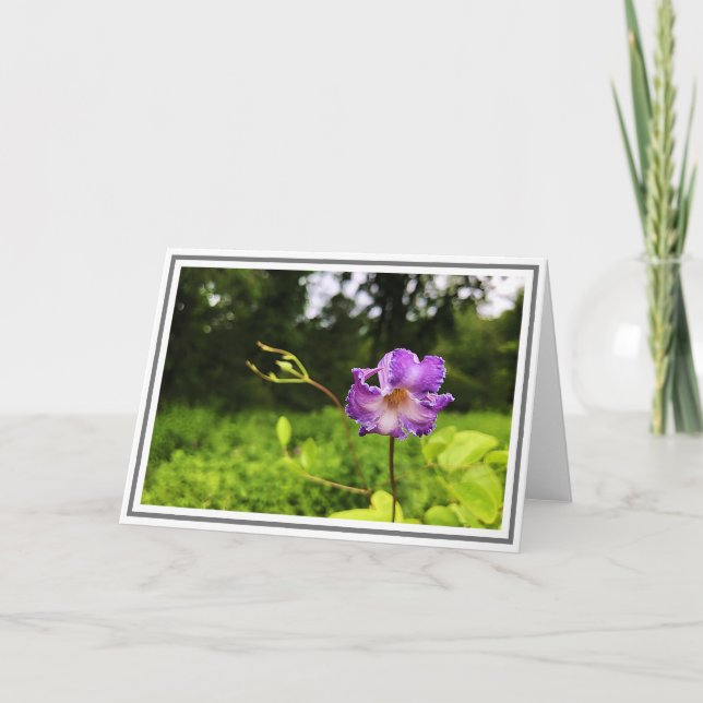 Photograph Close-up Purple Clematis Green Foliage Card (Front)