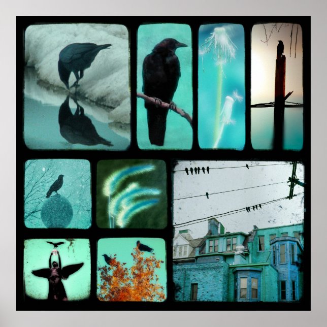 Photograph Collage Poster (Front)