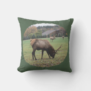 Photograph Large Male Elk Antlers Grazing Barn Outdoor Pillow