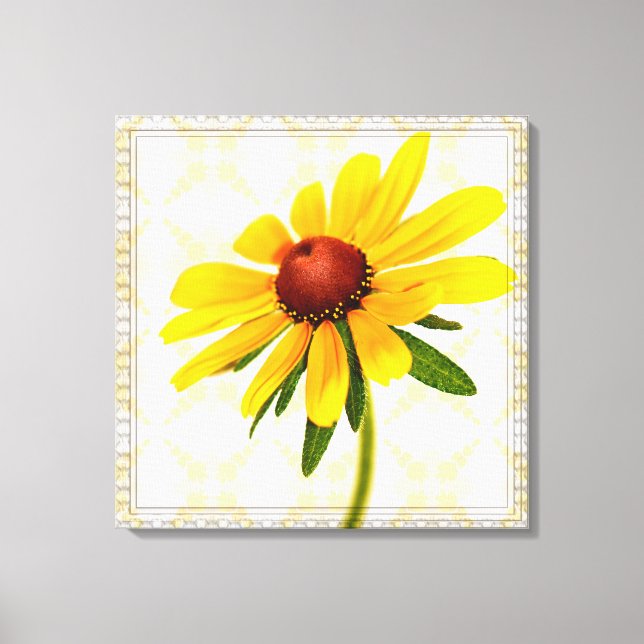 Photograph of A Black-Eyed Susan Blossom Canvas Print (Front)