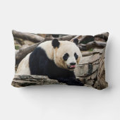 Photograph of a giant panda lumbar pillow (Back)