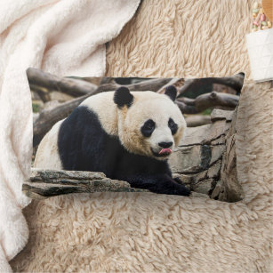 Photograph of a giant panda lumbar pillow