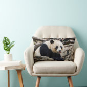 Photograph of a giant panda lumbar pillow (Chair)