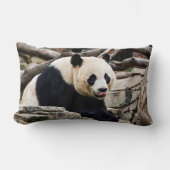 Photograph of a giant panda lumbar pillow (Front)
