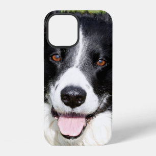 Photograph of a happy dog Case-Mate iPhone case