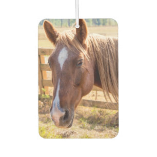 Photograph of a Horse in the Sunlight on a Farm Air Freshener