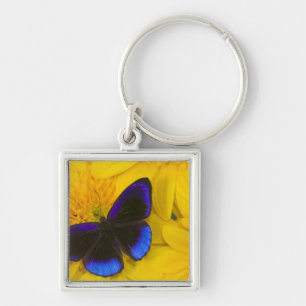 Photograph of Butterfly Keychain